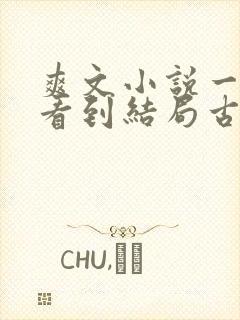 爽文小说一口气看到结局古言