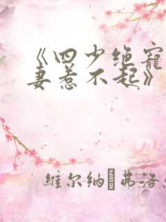 《四少绝宠:小妻惹不起》