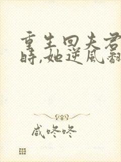 重生回夫君大婚时,她逆风翻盘观看