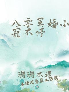 八零军婚小甜妻宠不停