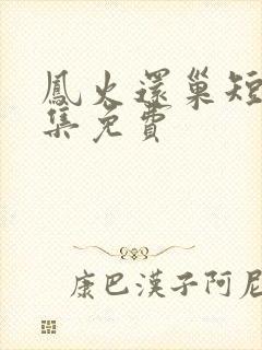 凤火还巢短剧全集免费