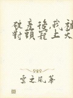 破产后,我被死对头宠上天完结