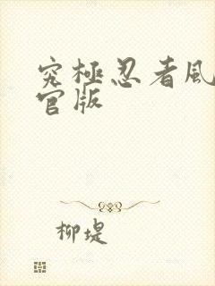 究极忍者风暴4官版