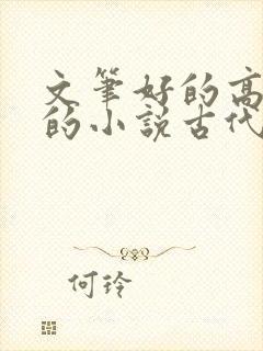 文笔好的高质量的小说古代言情