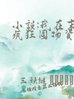 小说:我在末世疯狂囤物资