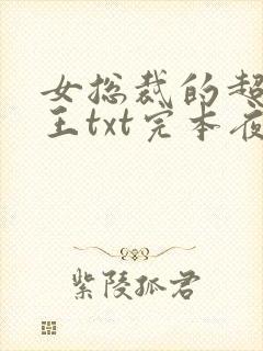 女总裁的超级兵王txt完本夜风武