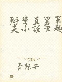 掰弯直男军官姐夫小说笔趣阁