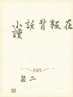 小说背叛在线阅读