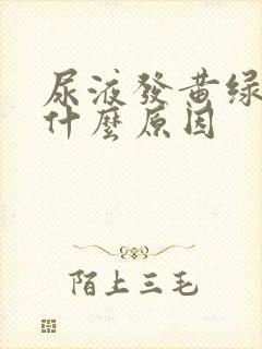 尿液发黄绿色是什么原因