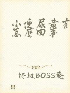 小便尿黄有泡沫怎么回事