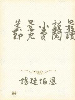 叶晨小说最新章节免费阅读全文