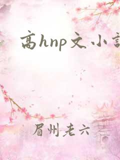 高hnp文小说