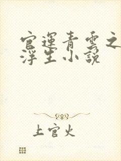 官运青云之路刘浮生小说