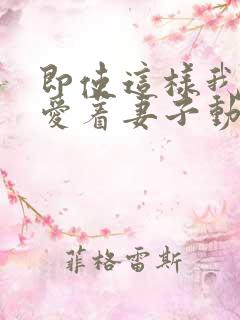 即使这样我依然爱着妻子动漫