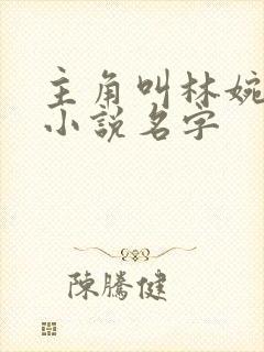 主角叫林婉秋的小说名字