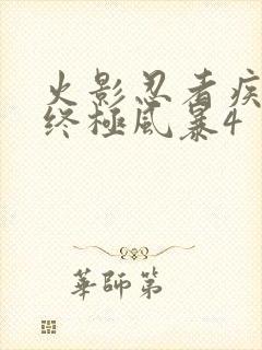 火影忍者疾风传终极风暴4