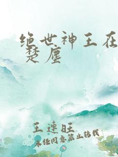 绝世神王在都市 楚尘