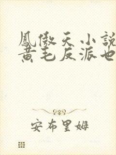 凤傲天小说里的黄毛反派也想