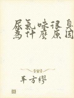 尿气味很臭是因为什么原因