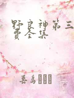 野良神第三季免费全集