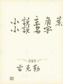 小说主角叶凡的小说名字