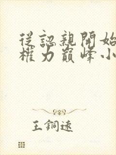 从认亲开始踏上权力巅峰小说章节目录