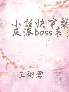 小说快穿系统之反派boss来袭免费阅读