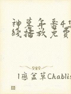 神墓年番4集在线播放免费观看