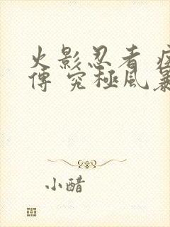 火影忍者 疾风传 究极风暴2下载