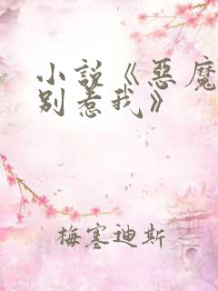 小说《恶魔少爷别惹我》