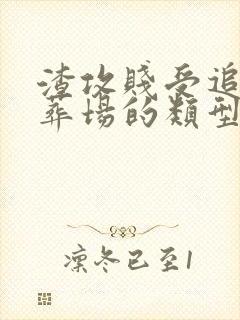 渣攻贱受追妻火葬场的类型文