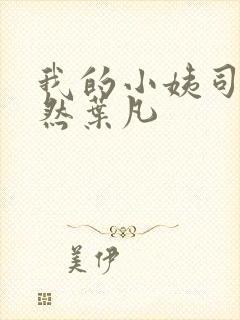 我的小姨司空嫣然叶凡