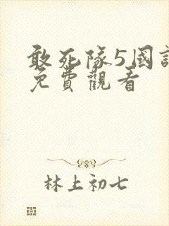 敢死队5国语版免费观看