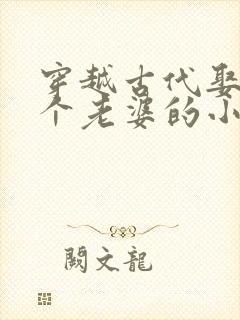 穿越古代娶了三个老婆的小说