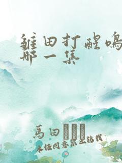 雏田打醒鸣人是哪一集