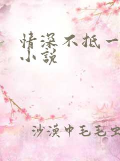 情深不抵一场错小说