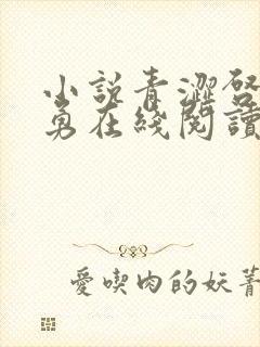 小说青涩启蒙张勇在线阅读