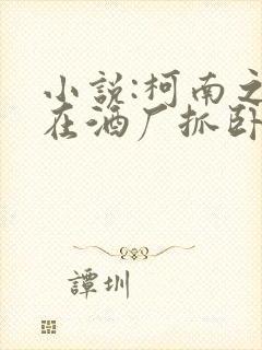 小说:柯南之我在酒厂抓卧底