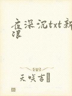 夜深沉txt新浪