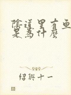 阴道里有鱼腥味是为什么