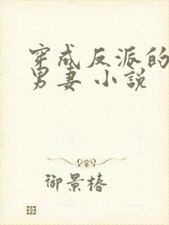 穿成反派的替身男妻 小说