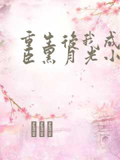 重生后我成了奸臣黑月光小说