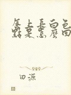 唇上长白色的小点是怎么回事