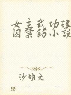 女主武功很高被囚禁的小说