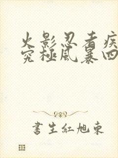 火影忍者疾风传究极风暴四