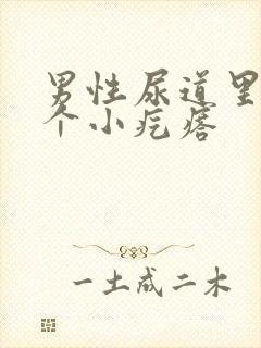 男性尿道里面有个小疙瘩