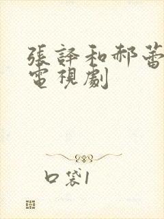 张译和郝蕾演的电视剧