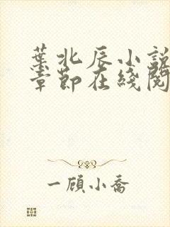 叶北辰小说最新章节在线阅读