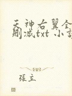 天神右翼全集无删减txt 小说