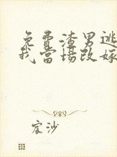 免费渣男逃婚,我当场改嫁了小说